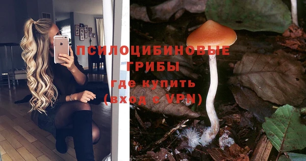 кокаин премиум Бородино